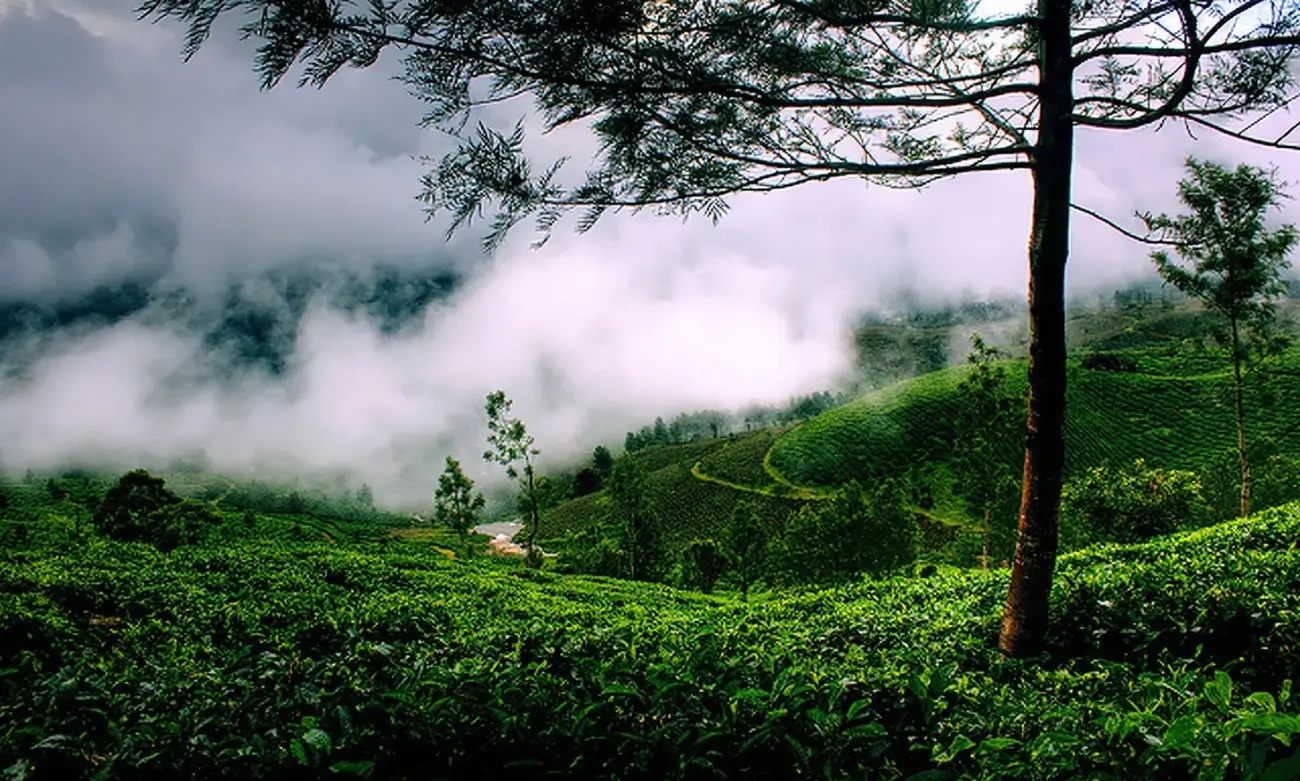 Thekkady